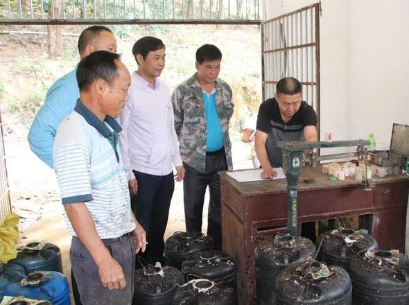 1704243991047039284.jpg 微信图片_20240103090430.jpg