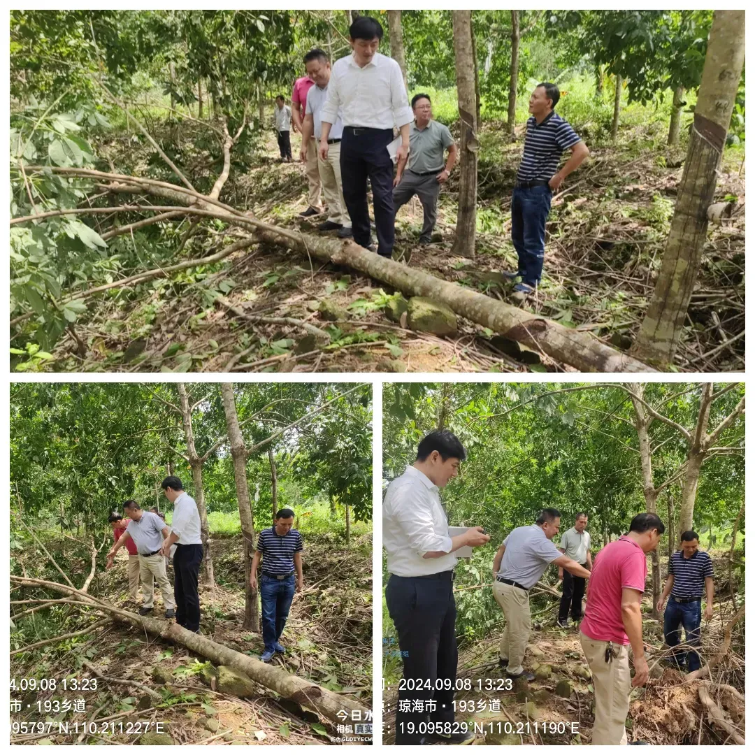 1726196425146008368.jpg 1726196425146008368.jpg