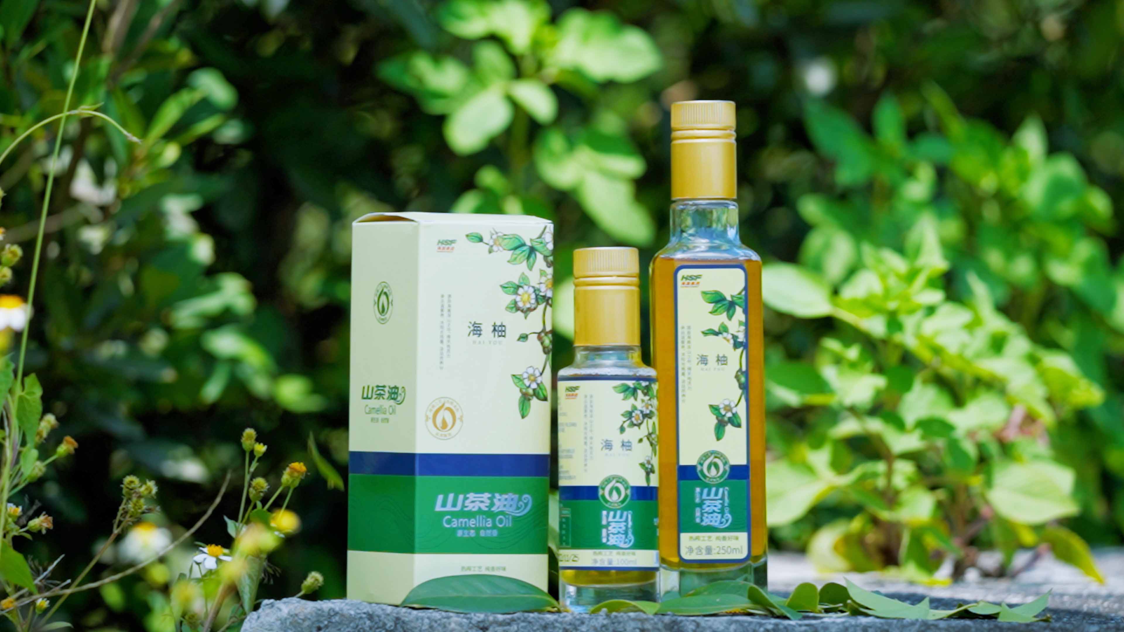 新澳门六合彩乐香山茶油